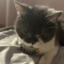 avatar Chanh leo lắc sữa