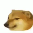 timepasteque