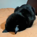 peachpanda