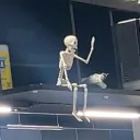 frankmctrainshit