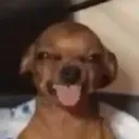 ragingraph