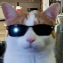 insanegosane avatar