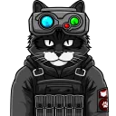 blackcat2087