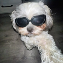 juno9425#0779's avatar