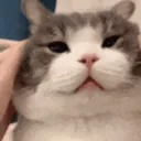 ilikejimmy7772