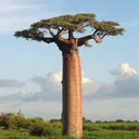 212021