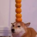 baguette8686's Avatar