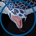 snakevessel4660