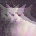 wironik_z