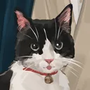 dddeerly