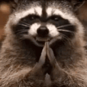 avatar RNG_RACCOON
