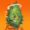 calibudz24