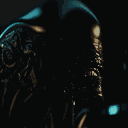oops.its.pyramid.head