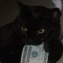 spajdy123