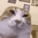 giorvannaa