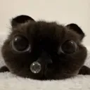 giorvannaa