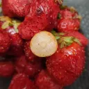 sourcastic