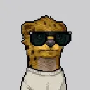 toolegitcrypto
