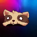 raccoon_ch