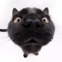 devilsax