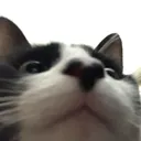 mrmopolo