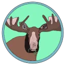 moose824