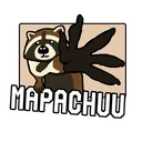 mapachuu