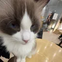 mrekk