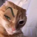 shionzo