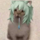 silliestsai