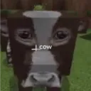 cjwsly