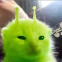 michipyo