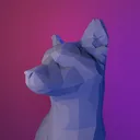 kittyconfusion