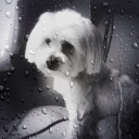 lorav17#2467's avatar