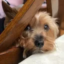 lexlopz
