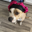 caywildchild#6468's avatar