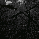 avatar Mount Opeth (she/they)