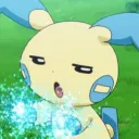 kimuchi_zzz