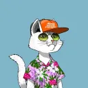tphuc1268 avatar