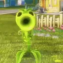 xaped