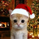 avatar ࣪ ִֶָ☾.Brit₊ ⊹₍ᐢᐢ₎ ᰔᩚ