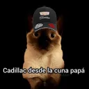 cementerioyt