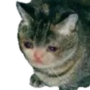 sadkitteh