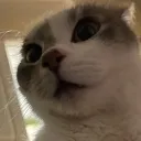 l0af__