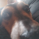 avatar Jere futura esposa de seba :3