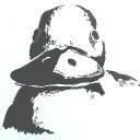 justaduck2