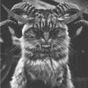 avatar MeowDemonn