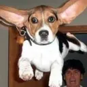 camiloacevedoe