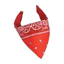all_red_suwoo
