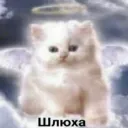 shmixi
